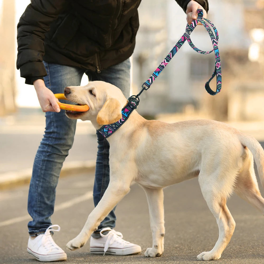 Soft Nylon Dog Collar & Leash Set - Abigeso mercato 