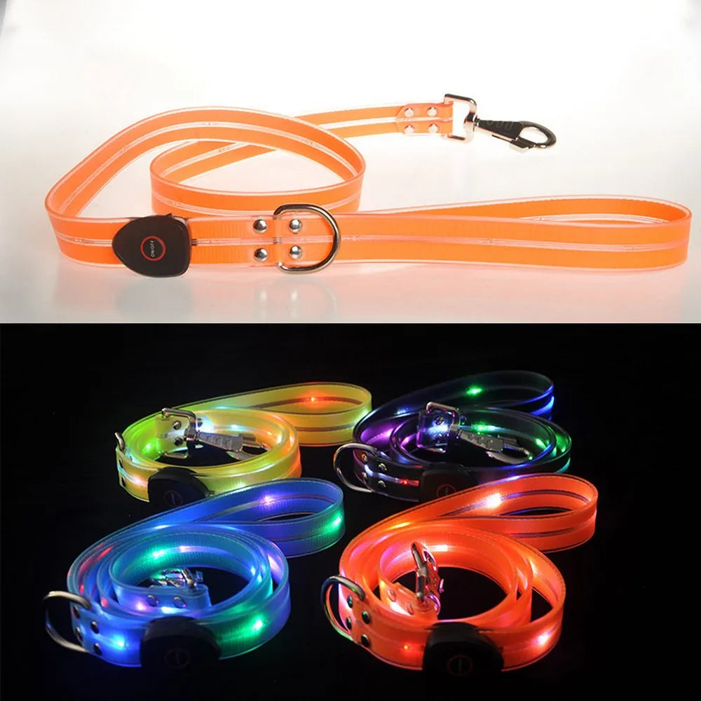 Premium Led Collar & Leash - Abigeso mercato 