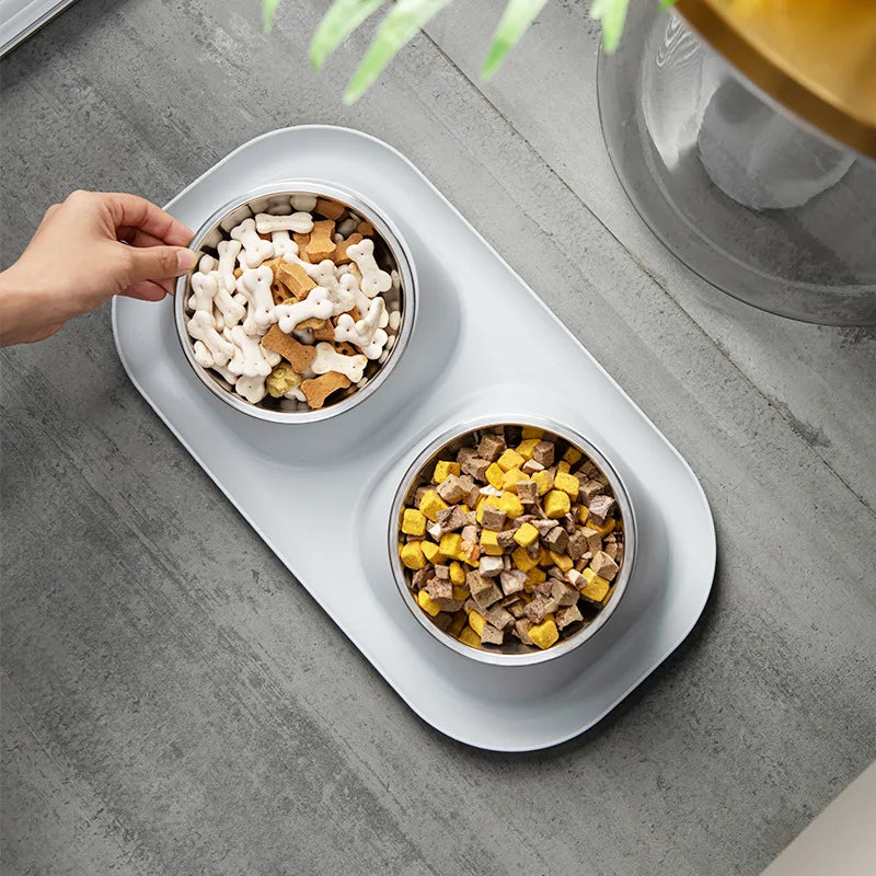 Premium Stainless Steel Pet Bowl - Abigeso mercato 