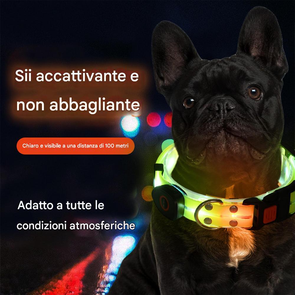 Premium Led Collar & Leash - Abigeso mercato 