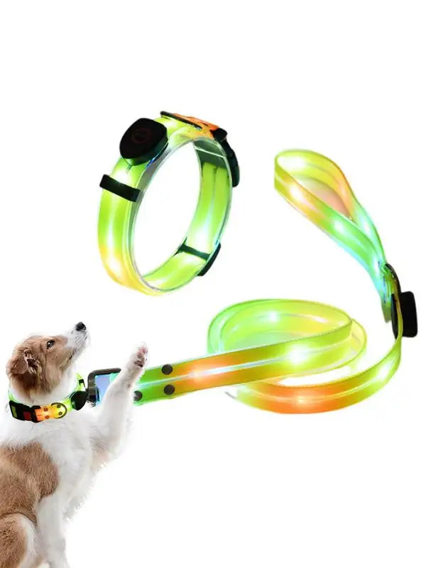 Premium Led Collar & Leash - Abigeso mercato 