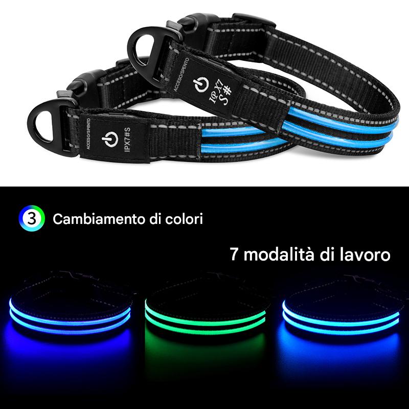 Waterproof Dog LED Collar - Abigeso mercato 