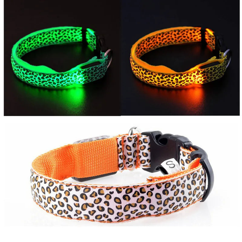 Pet LED Luminous Collar - Abigeso mercato 