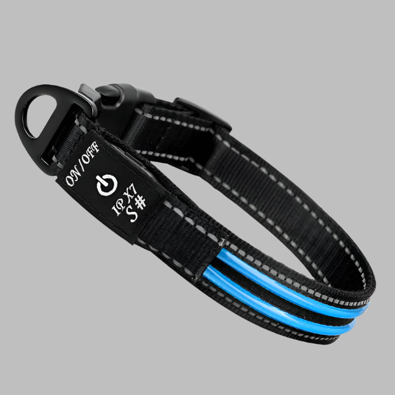 Waterproof Dog LED Collar - Abigeso mercato 