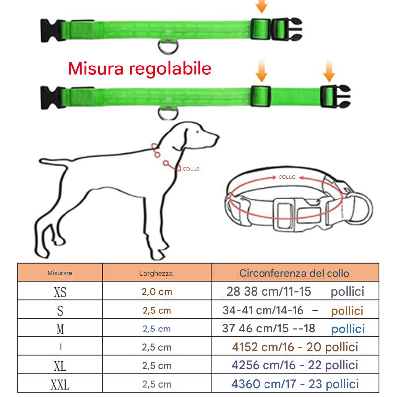 Dog Luminous Led Collar - Abigeso mercato 