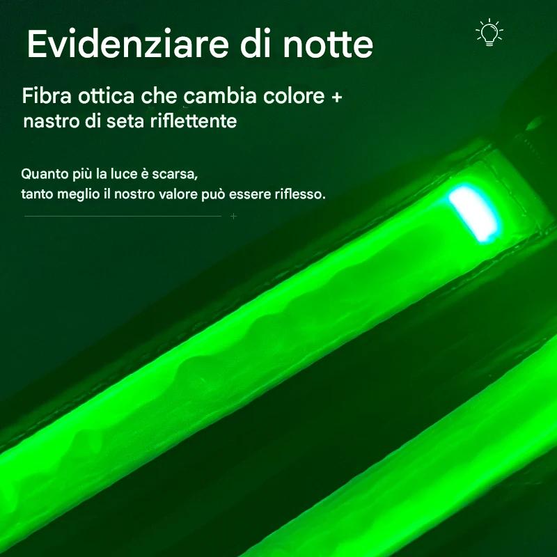 Glowing USB LED Collar - Abigeso mercato 