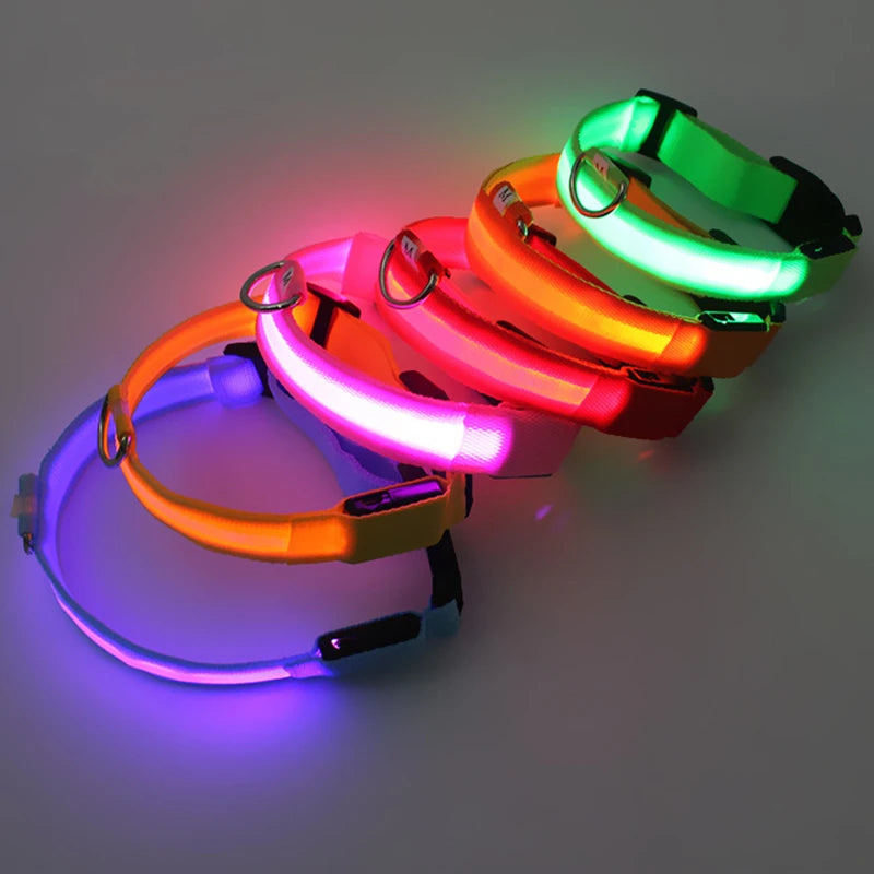 Dog Luminous Led Collar - Abigeso mercato 