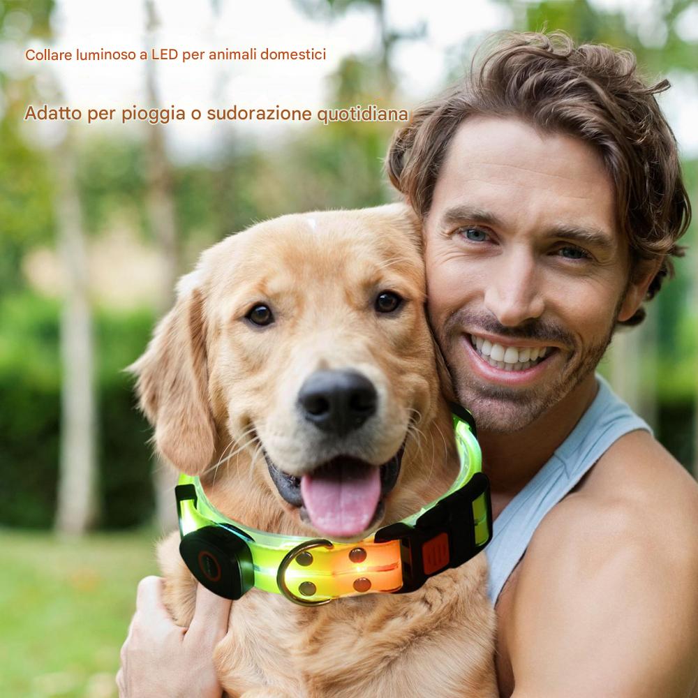 Premium Led Collar & Leash - Abigeso mercato 