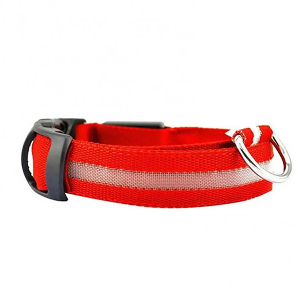 Premium  Luminous Collar - Abigeso mercato 