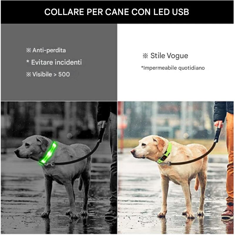 Dog Luminous Led Collar - Abigeso mercato 