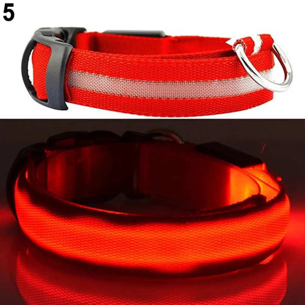 Premium  Luminous Collar - Abigeso mercato 