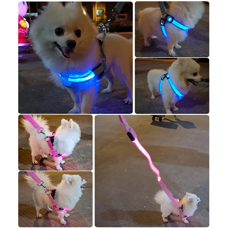 Adjustable LED Dog Harness - Abigeso mercato 