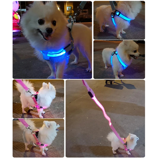 Adjustable LED Dog Harness - Abigeso mercato 