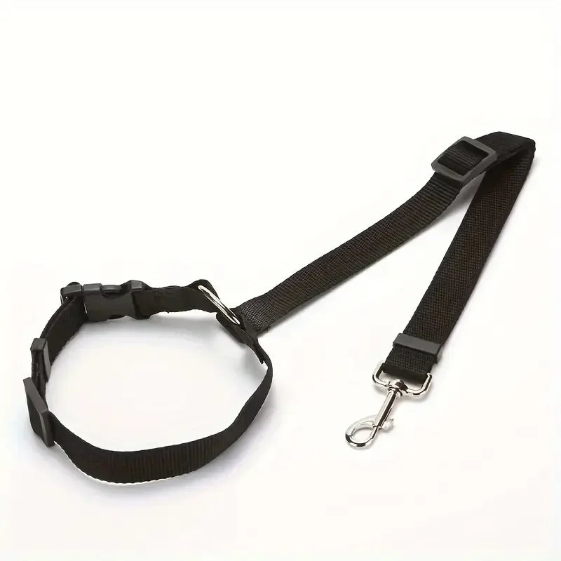 Safety Car Seat Belt - Abigeso mercato 