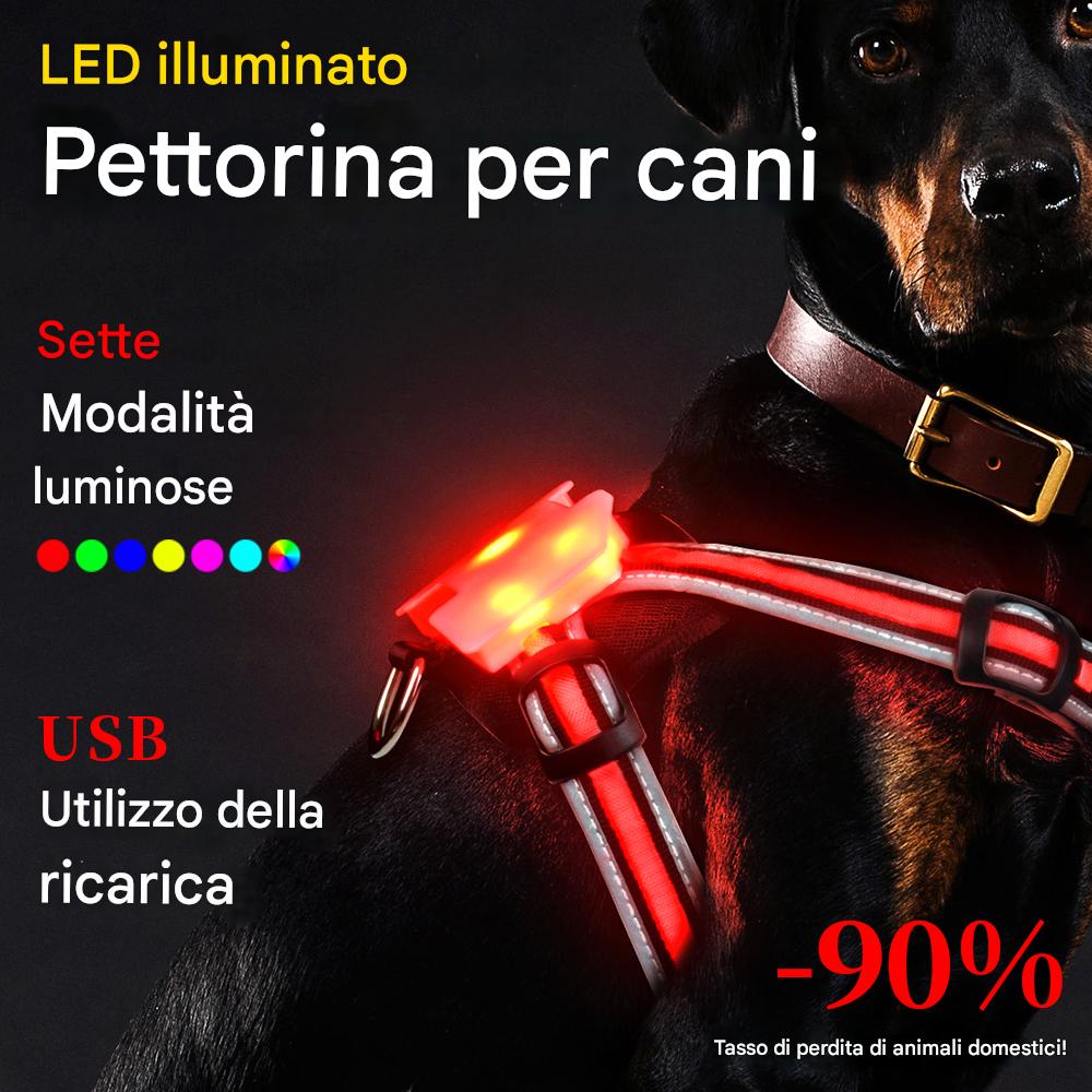 Glowing USB LED Collar - Abigeso mercato 