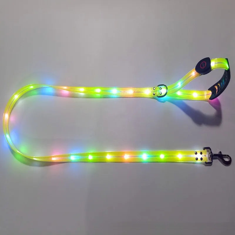 Premium Led Collar & Leash - Abigeso mercato 