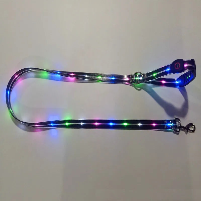 Premium Led Collar & Leash - Abigeso mercato 