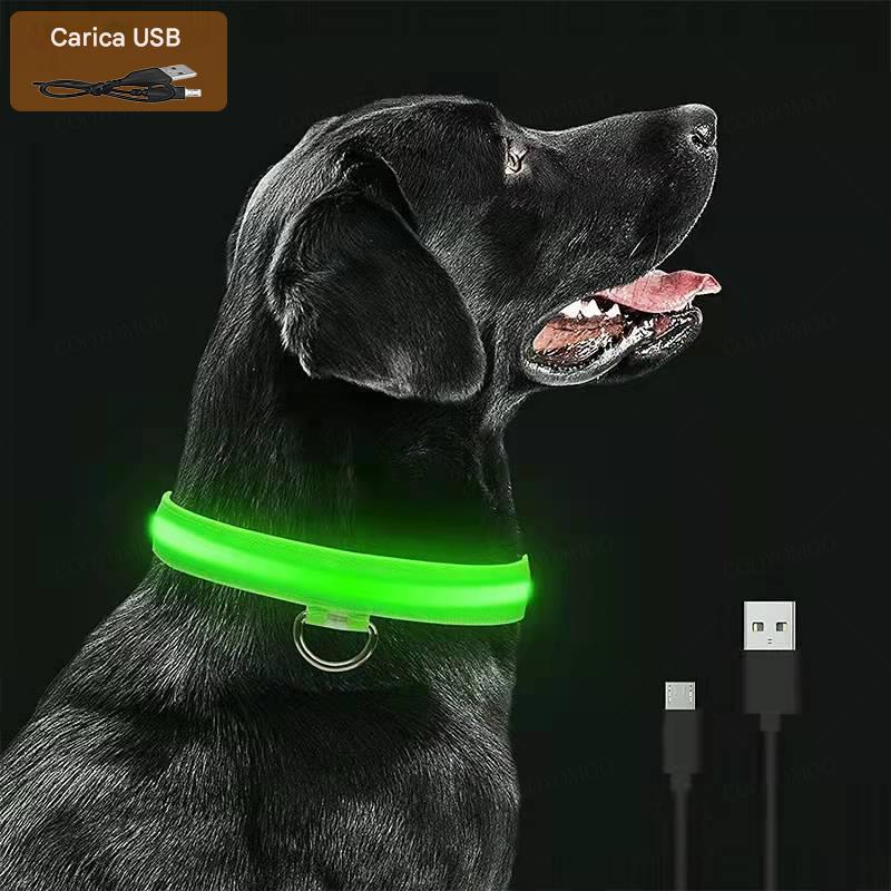 Dog Luminous Led Collar - Abigeso mercato 