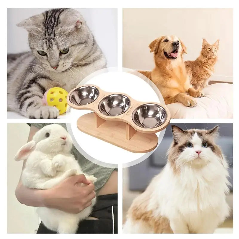 Elevated Pet Bowls For Food & Water - Abigeso mercato 