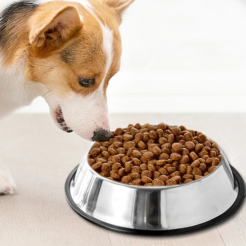 Durable Stainless Steel Dog Bowl - Abigeso mercato 