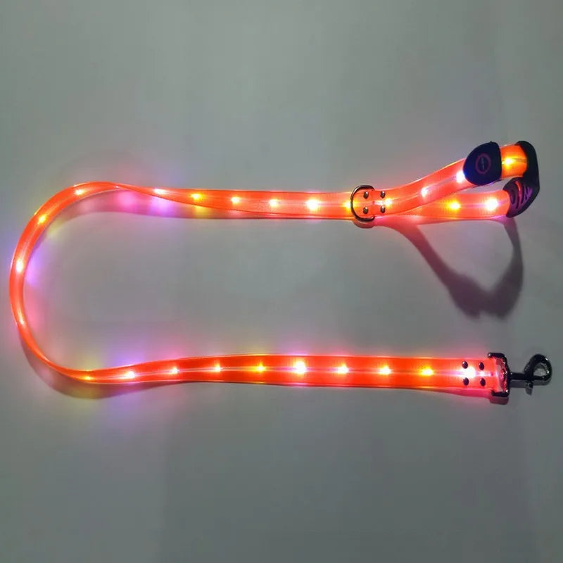 Premium Led Collar & Leash - Abigeso mercato 