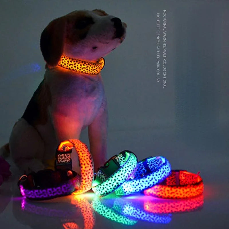 Pet LED Luminous Collar - Abigeso mercato 