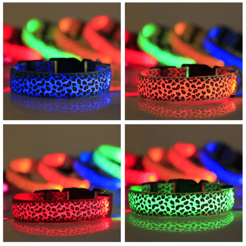 Pet LED Luminous Collar - Abigeso mercato 