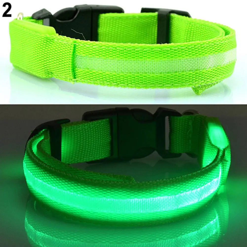 Premium  Luminous Collar - Abigeso mercato 