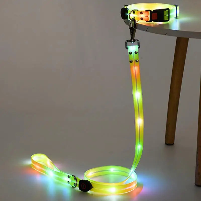 Premium Led Collar & Leash - Abigeso mercato 