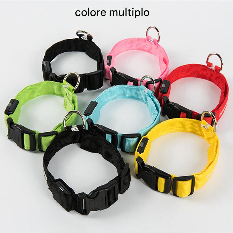 Dog Luminous Led Collar - Abigeso mercato 