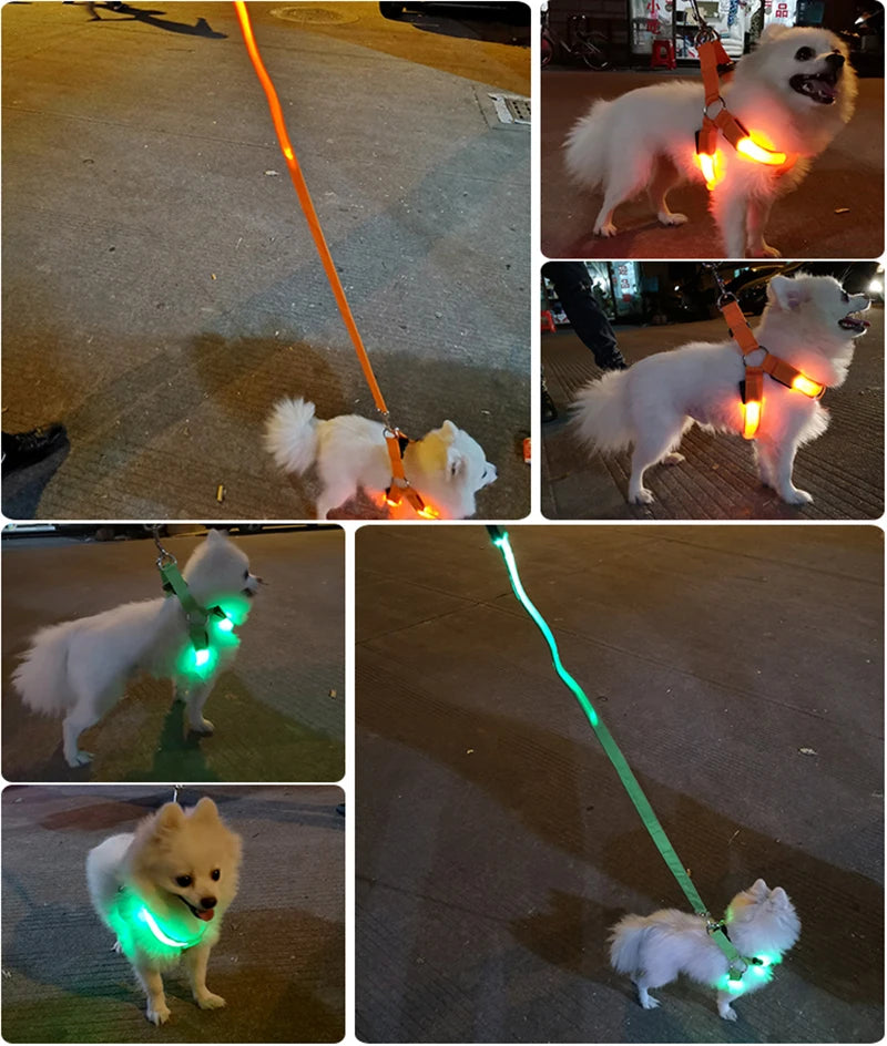 Adjustable LED Dog Harness - Abigeso mercato 