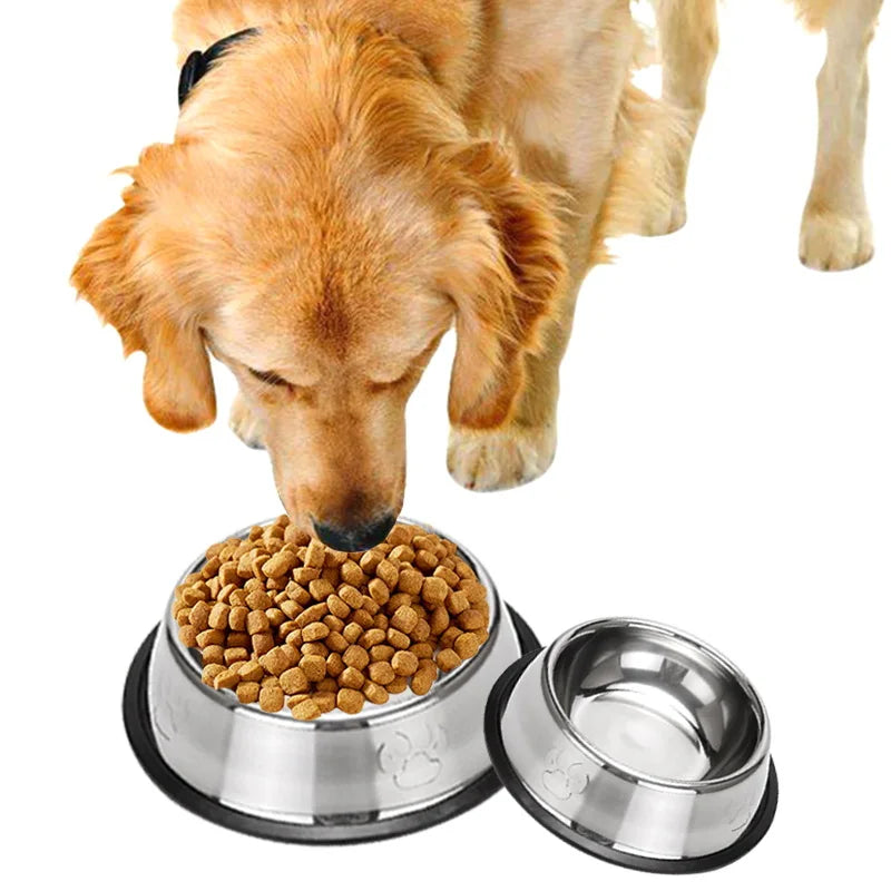 Durable Stainless Steel Dog Bowl - Abigeso mercato 